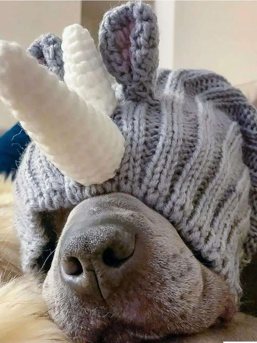 Zoo snoods - Rhino size large -New with tags